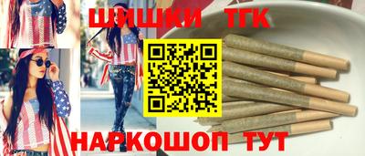 индика Рыбинск