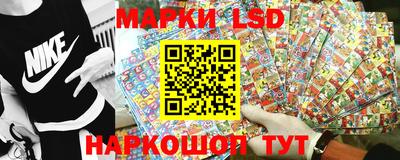 индика Рыбинск