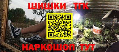 индика Рыбинск