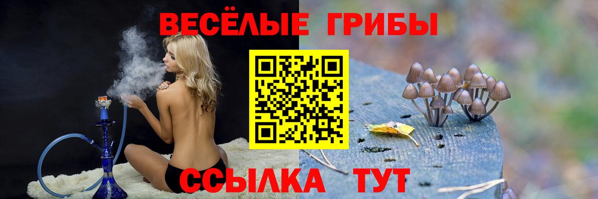 Реж  Псилоцибиновые грибы прущие грибы  Вход с VPN 